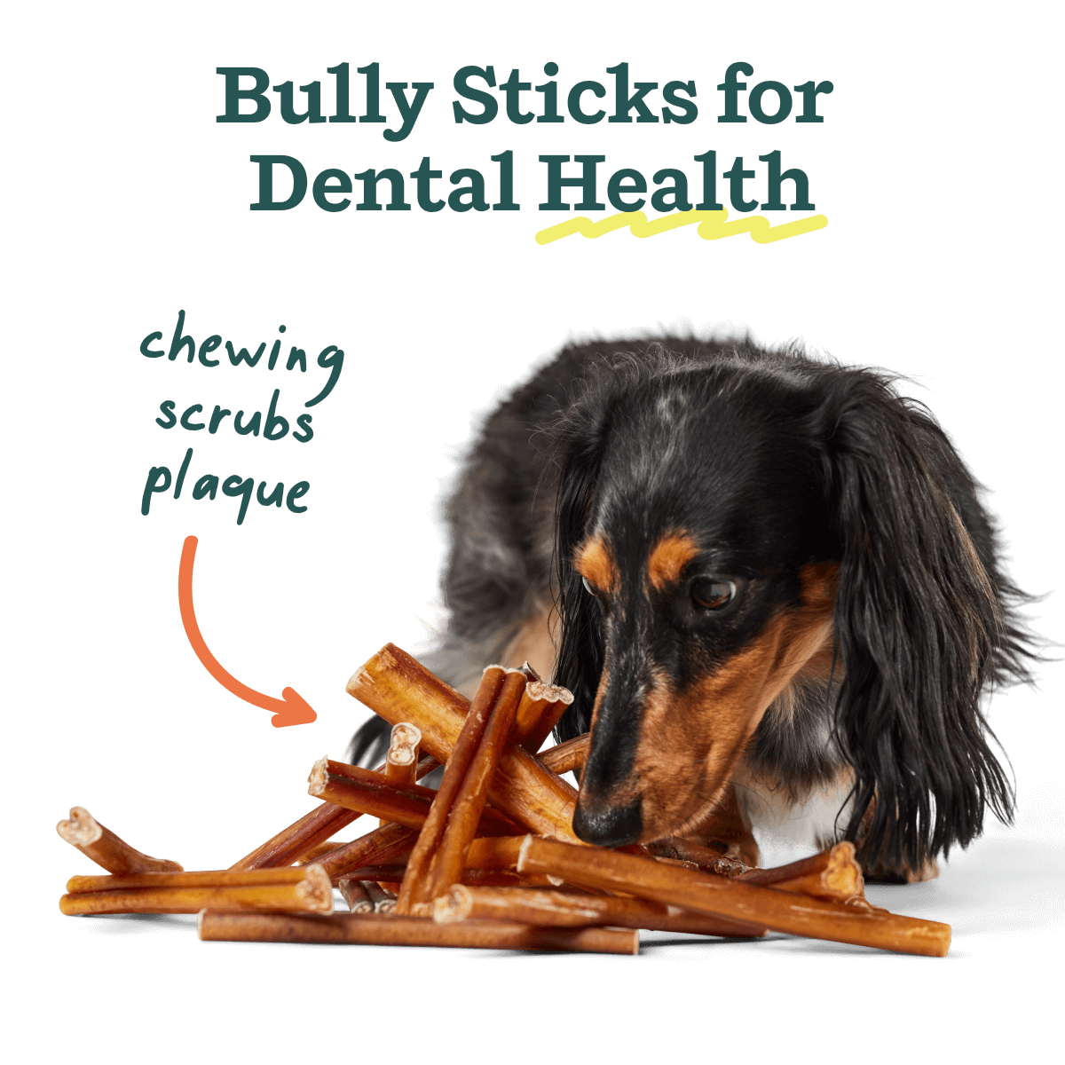 BullySafe Chews - BullySticks