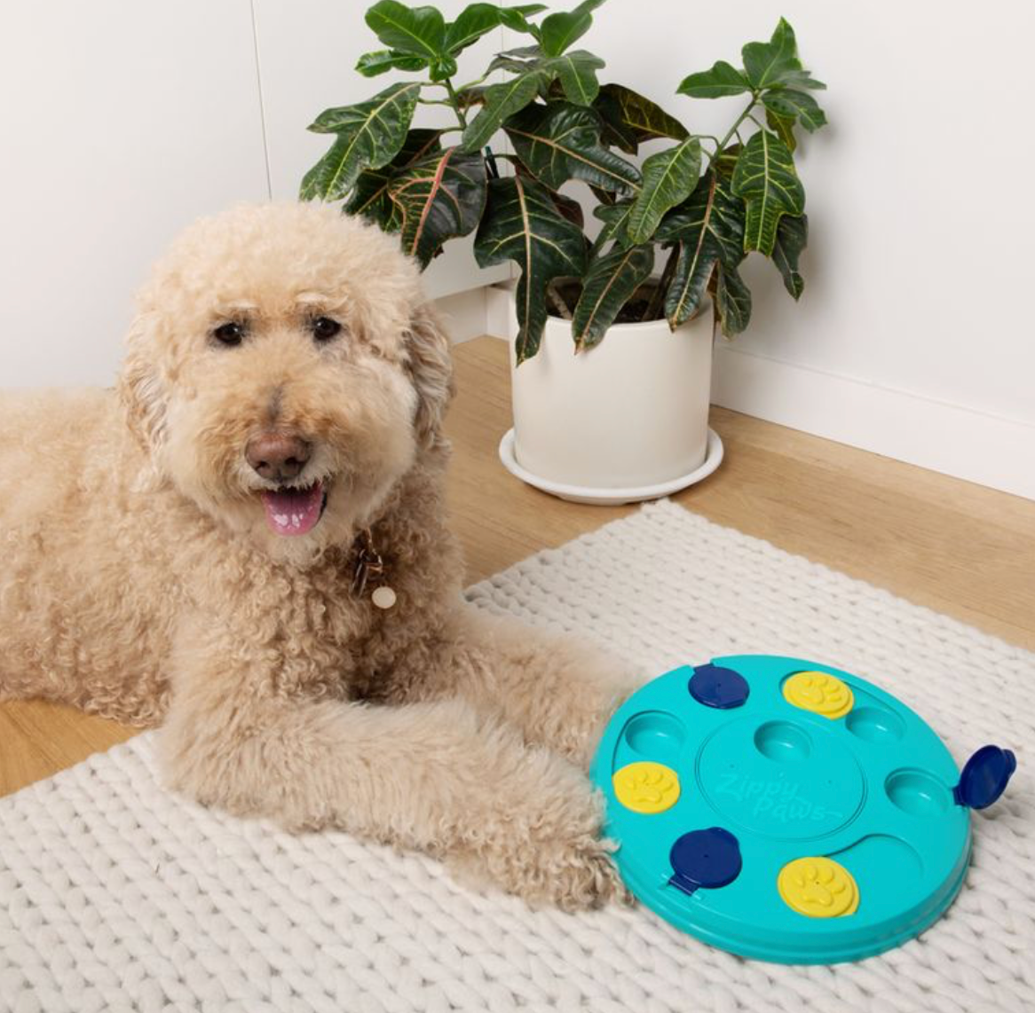 SmartyPaws - Puzzler - Interactive Dog Toy