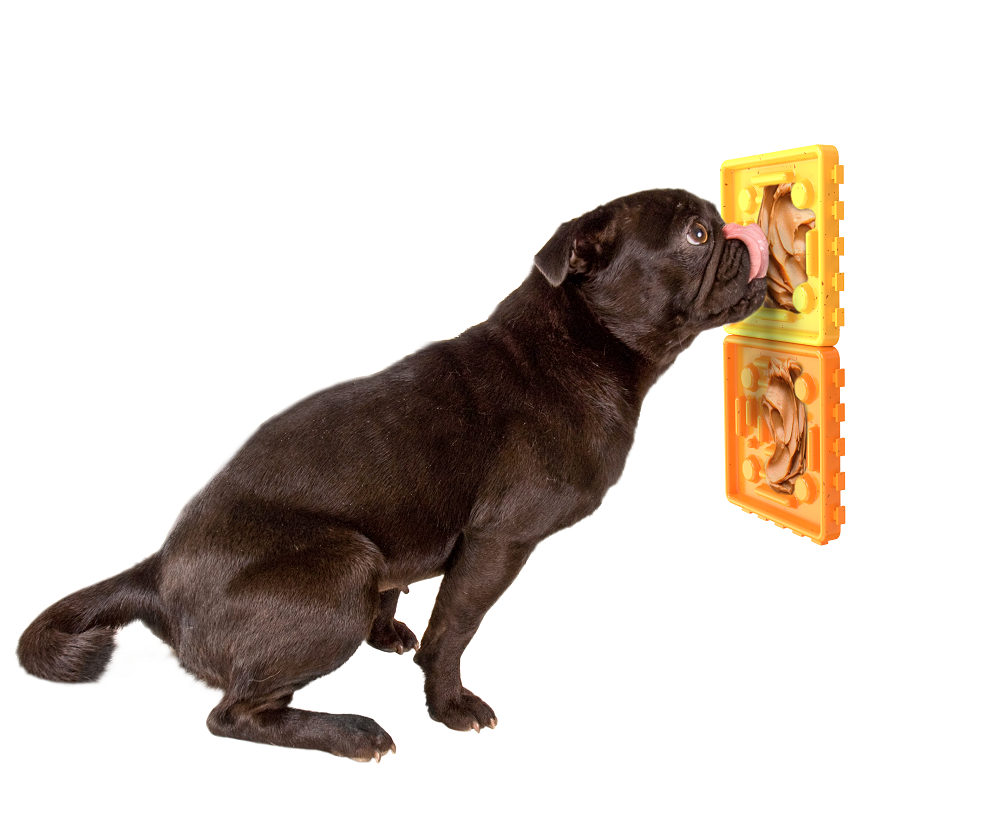 4 Piece Dog Lick Mat and Feeding Bowl w/ Interlocking Pieces