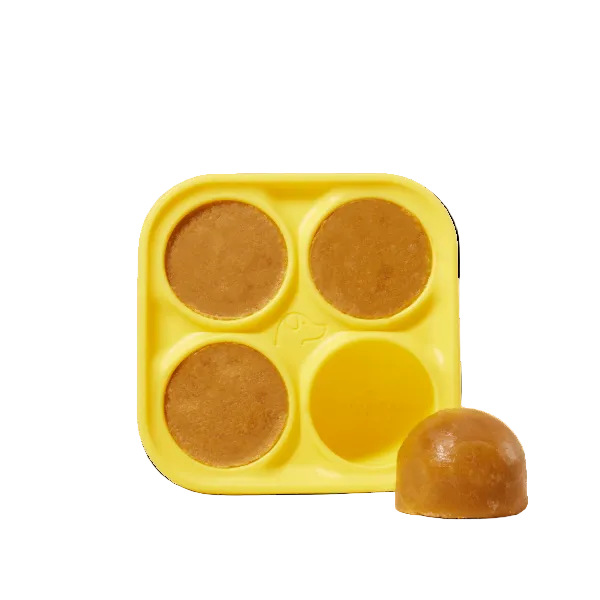 Pupsicle Treat Tray