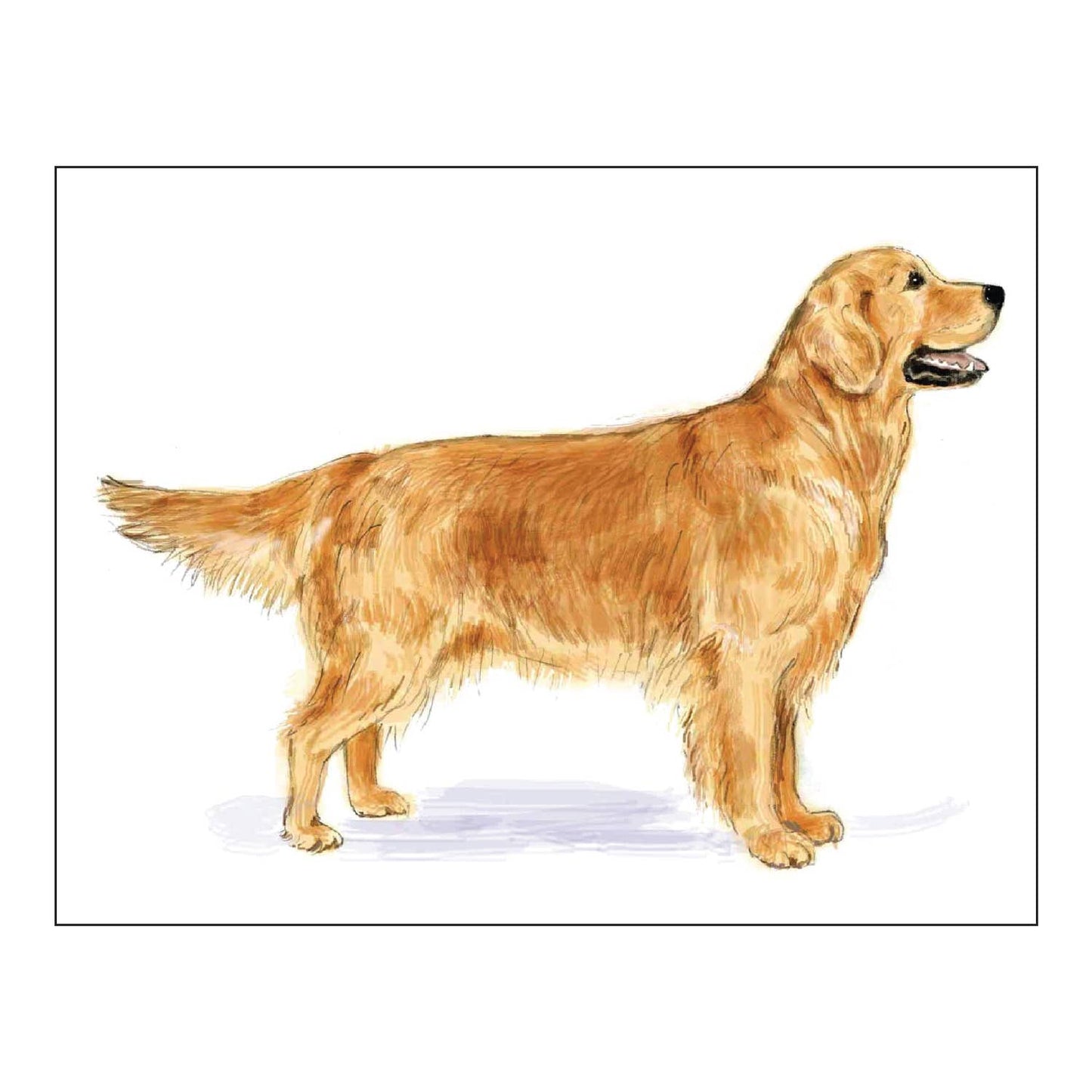 Dog Foldover Notecards - Choose Your Breed