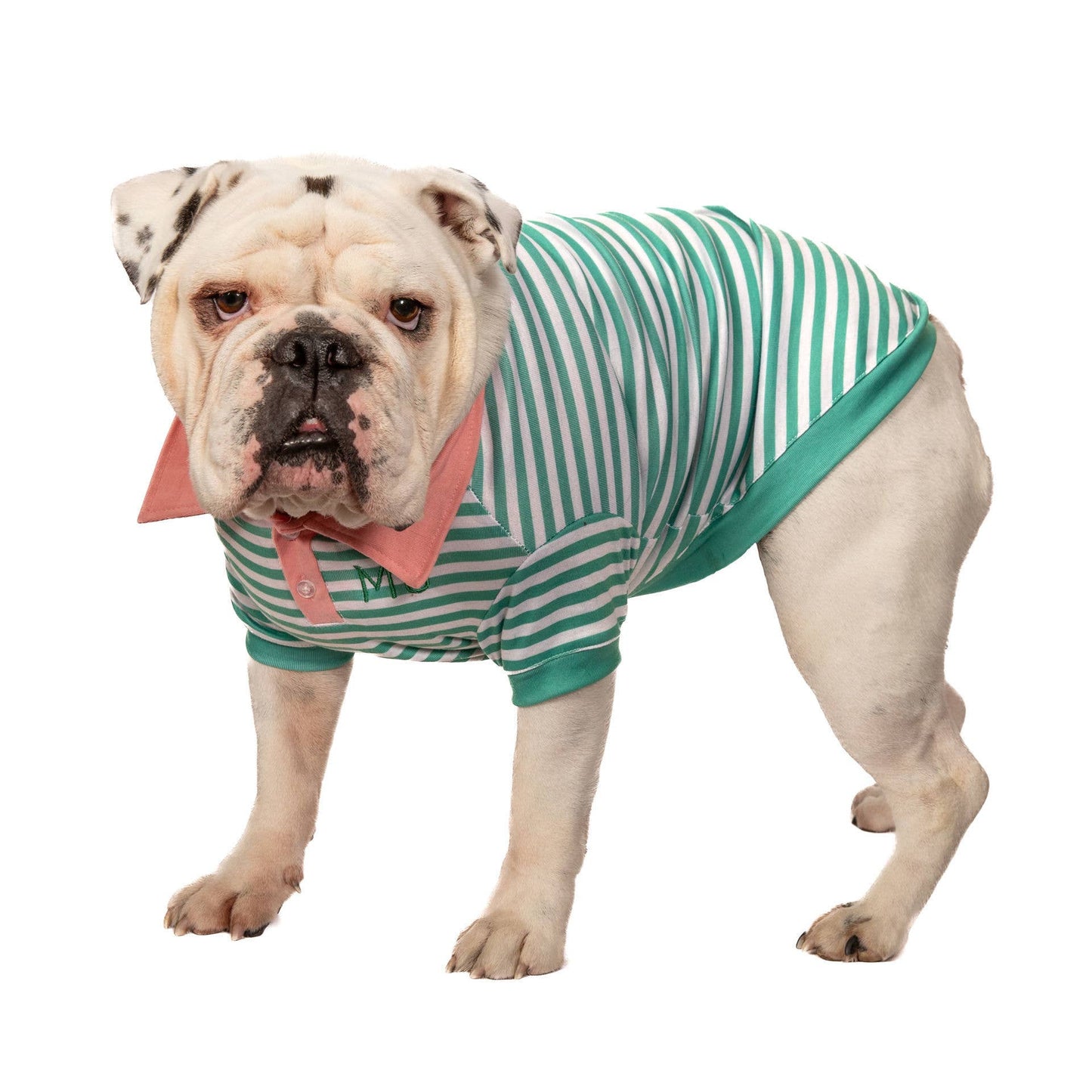 Green Stripe with Pink Collar Polo
