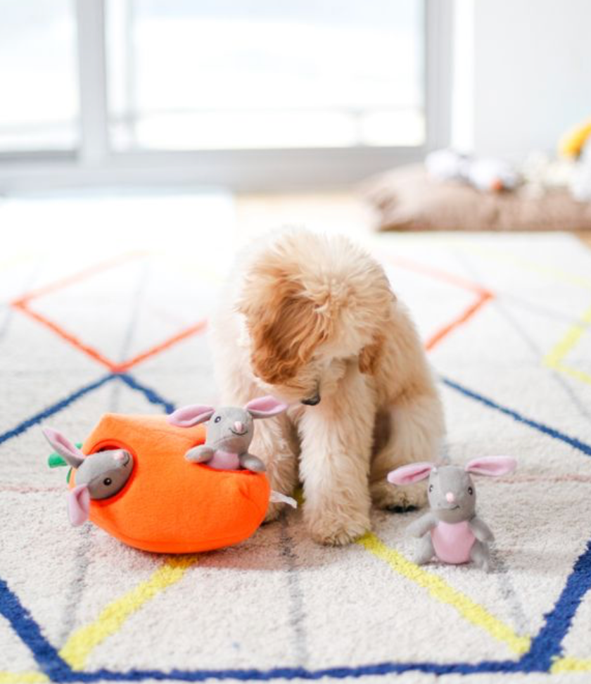Zippy Burrow - Bunny 'n Carrot - Dog Toy