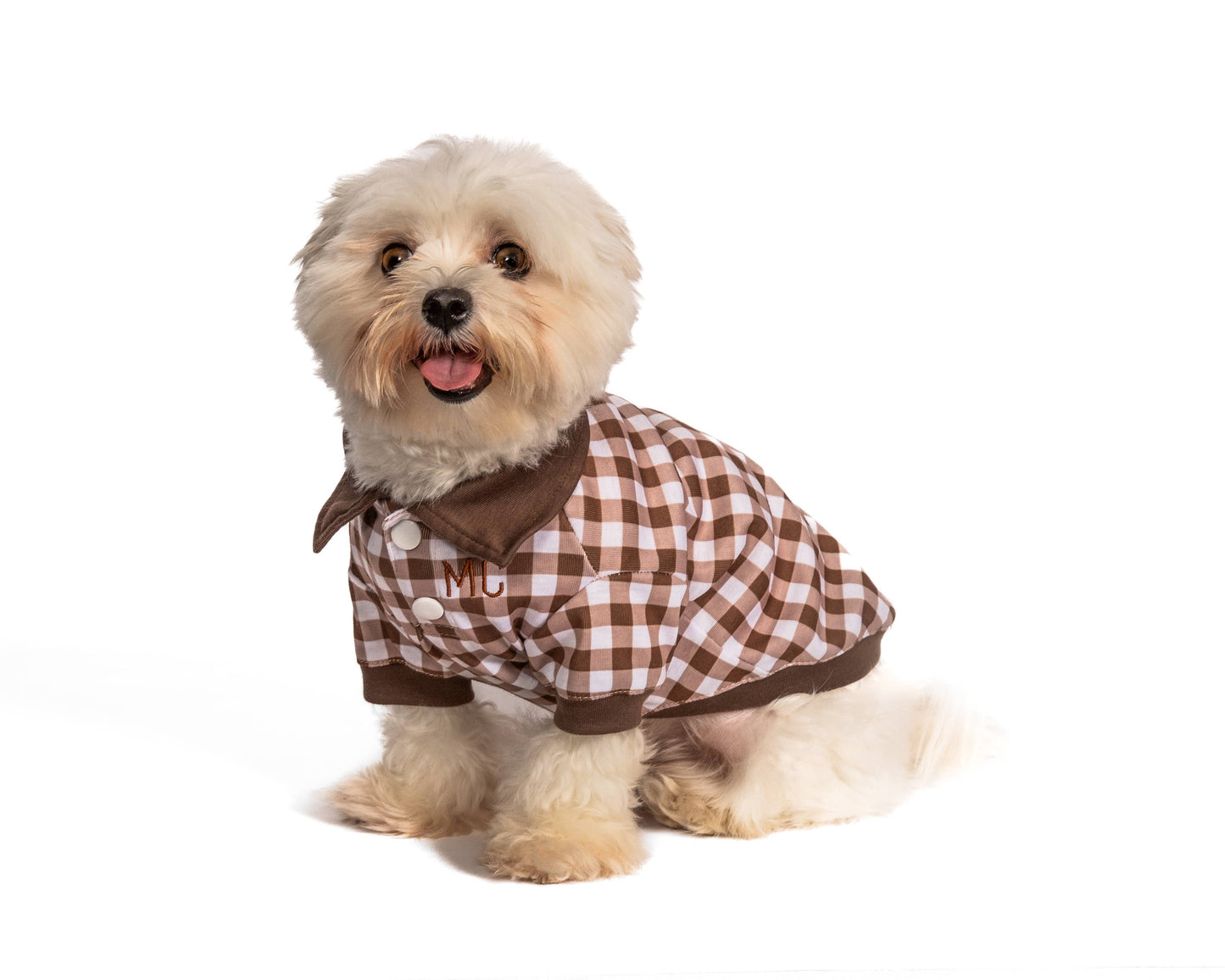 Brown Check Dog Polo