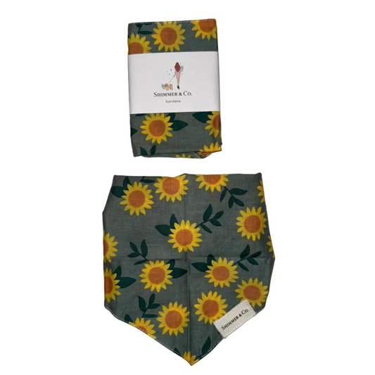 Shimmer & Co. Cromwell Fall Dog Bandana