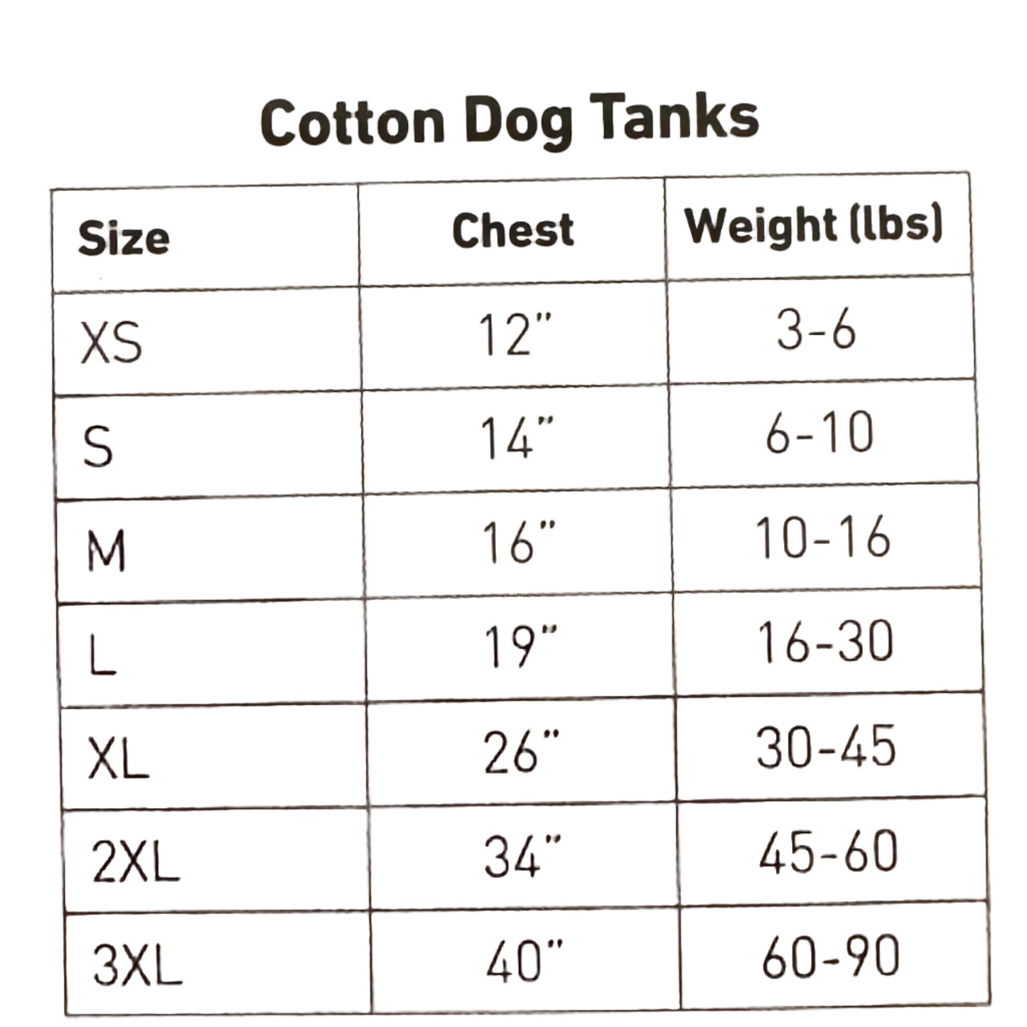 Feeling Witchy Top