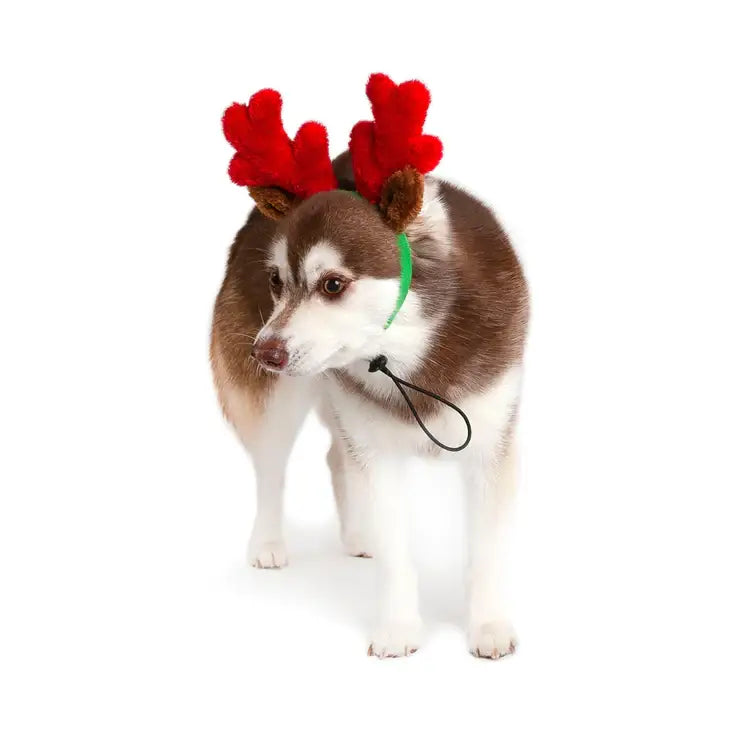 Christmas Reindeer Small Dog Antlers