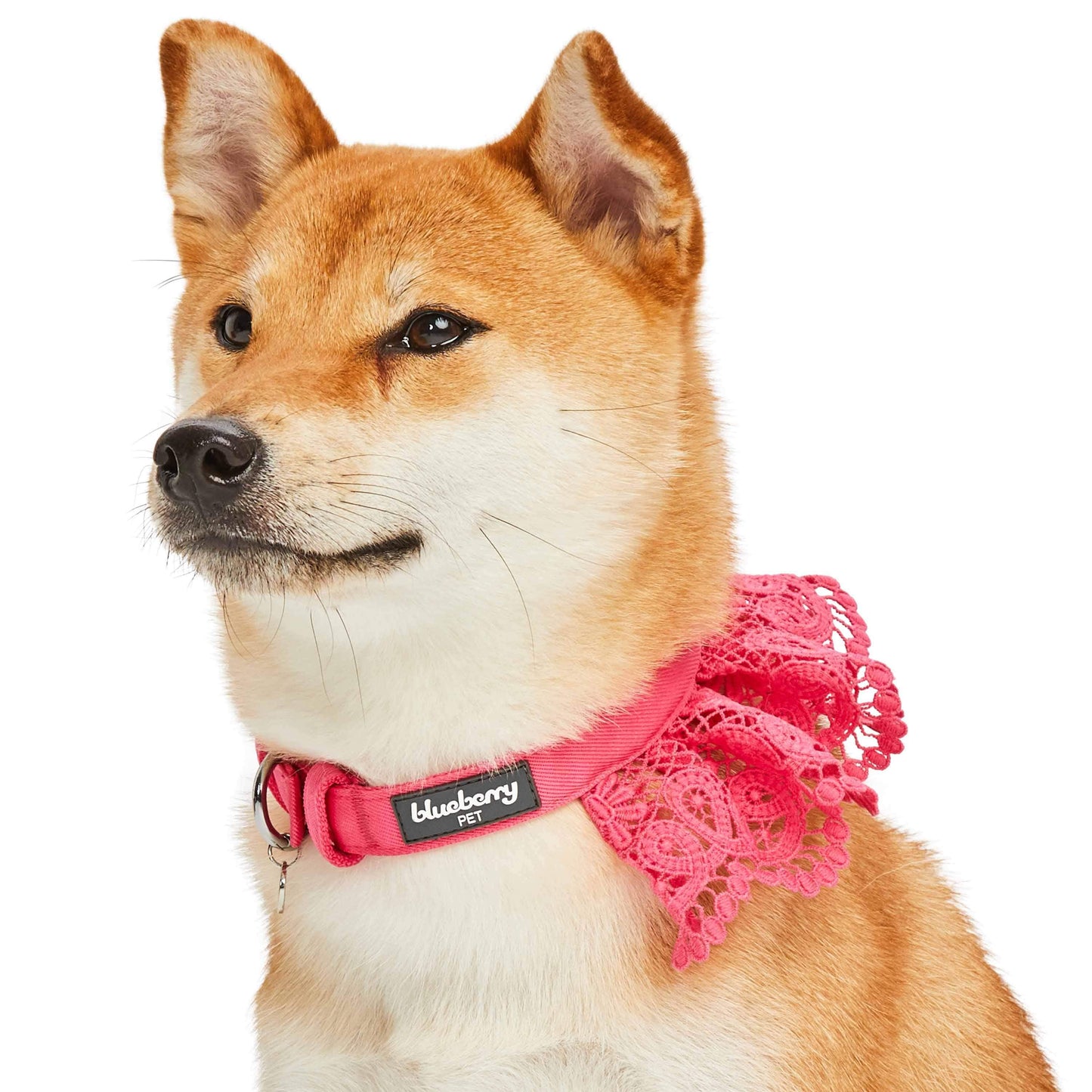 Cute Floral Lace Dog Collar