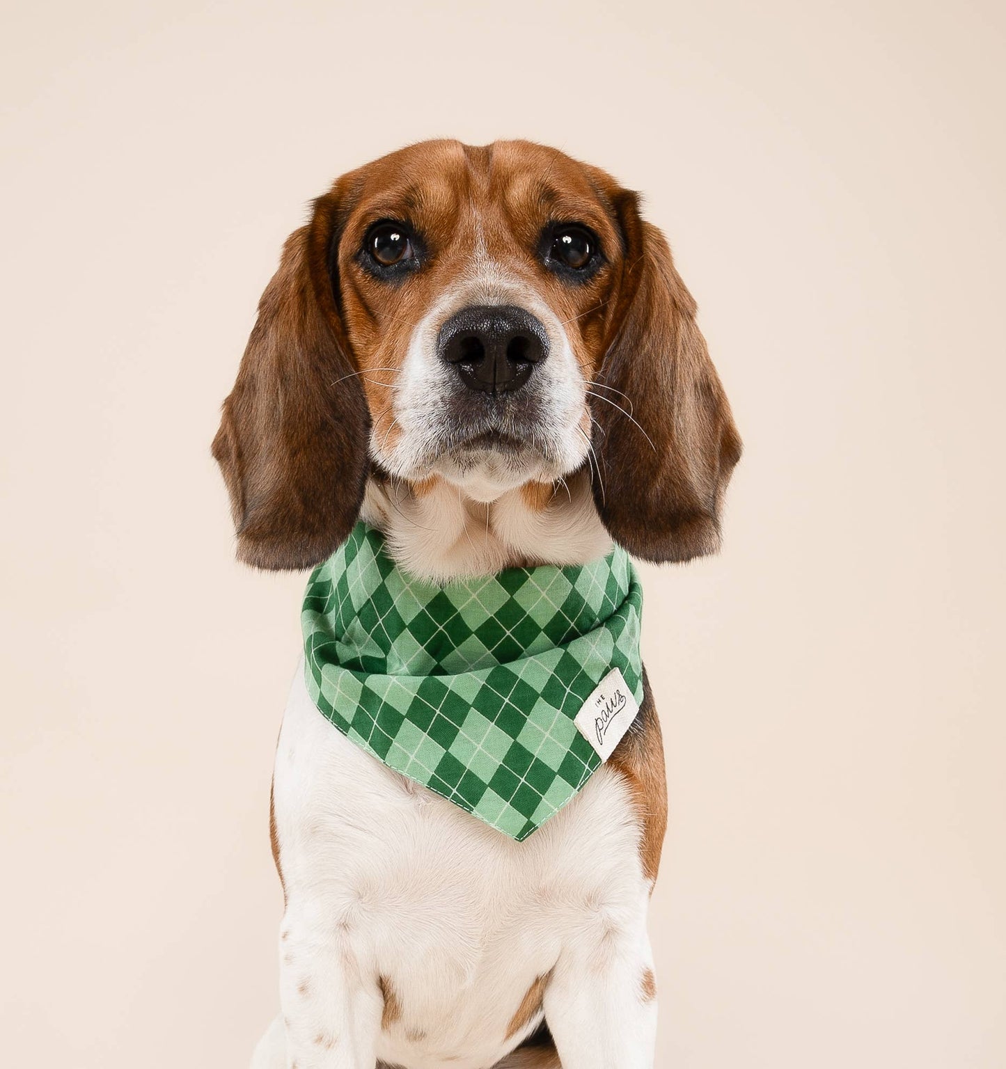 Shimmer & Co. Dublin Dog Bandana