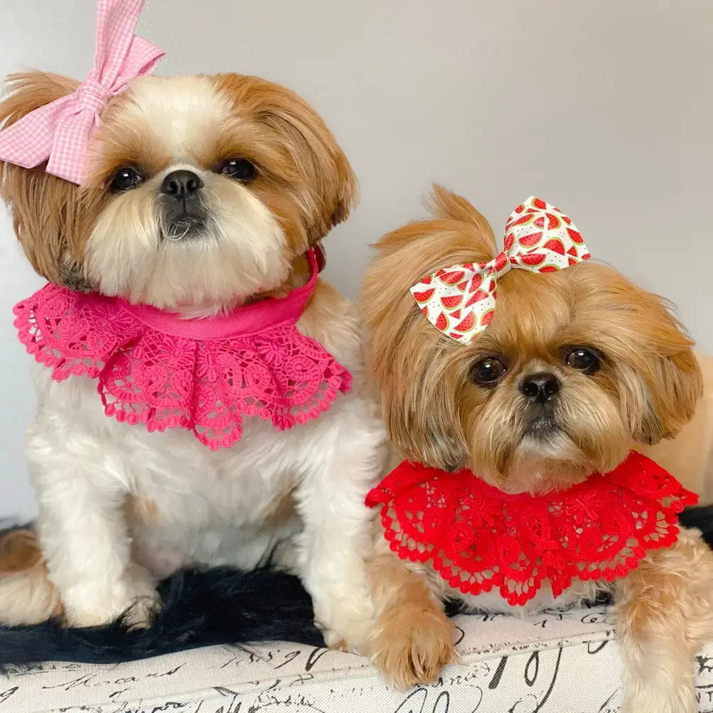 Cute Floral Lace Dog Collar