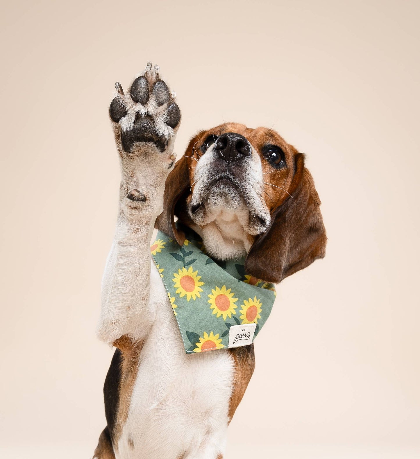 Shimmer & Co. Cromwell Fall Dog Bandana